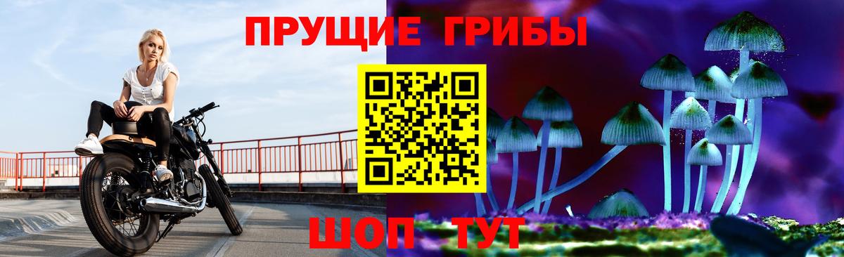 Галлюциногенные грибы Cubensis Йошкар-Ола